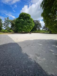 The Green Lounge - 1