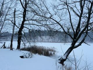 Relax Hütten & Spa Gröden - Groeden - 6