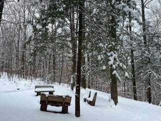 Waterfront A- Frame with Dock, Canoe + Kayaks - 3
