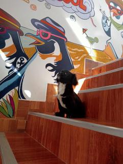 HOSPEDAJE welcome paracas - 7