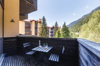 Résidence Grand Roc - Campanules 202 - Happy Rentals - 9