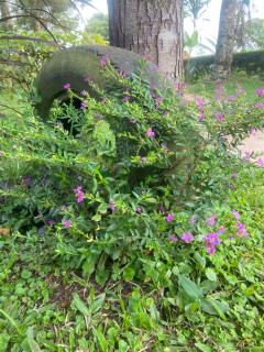 Nature flows Eco-Farm cottage & campsite - 8