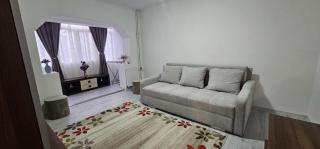 Apartament Daniela - 9