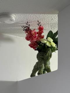 Estrato6 Apart Studios - 2