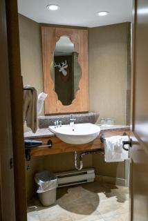 Banff Caribou Lodge and Spa - 4