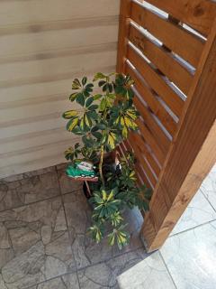 Departamento interior un ambiente - 2