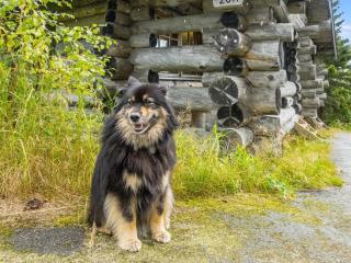 Holiday Home Vilkkuna 20 a by Interhome - 1