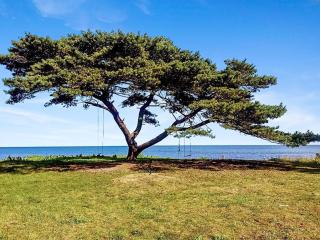 Holiday Home Anemette - 100m from the sea by Interhome - 8