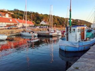 Holiday Home Asgot - 15m from the sea by Interhome - Hasle - 6