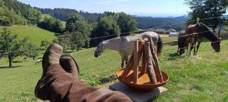 Western Style Planenwagen - 9