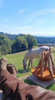 Western Style Planenwagen - 7