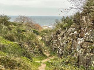 Apartment Ramona - 10m from the sea by Interhome - 4