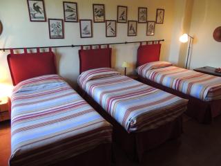 Fattoria di Migliarino - Migliarino - 6