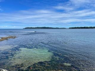 Casa de Mono Bocas - 5