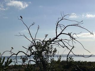 Rare Beachfront paradise - Mount Maunganui - 5