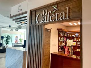 Hotel Villa Florida Veracruz - Veracruz - 6