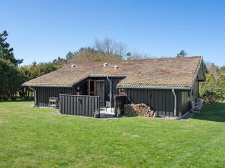 Holiday Home Jelin - 2-5km from the sea by Interhome - Blokhus - 2