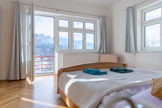 Villa Weber Apartments - 0