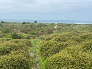 Rare Beachfront paradise - Mount Maunganui - 9
