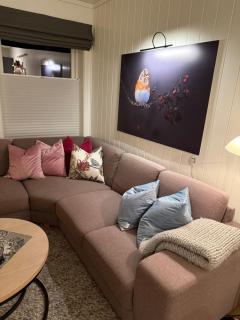 Ski in-Ski out with Mountain View at Voss - 7