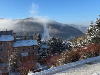 Apartament Babie Lato - 9