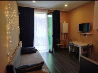 snow forest bakuriani apartment eight - 1