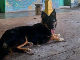 Eco lodge finca magdalena - 6