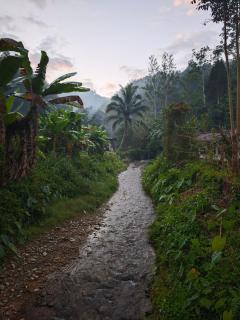 Pick-A-Brew Camp - 7