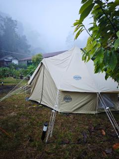 Pick-A-Brew Camp - 5