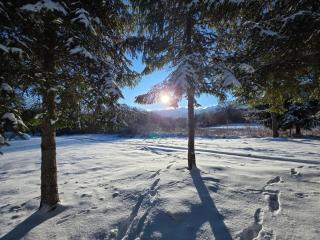 Two lakes heaven - Forest Retreat by The Mountains - 6