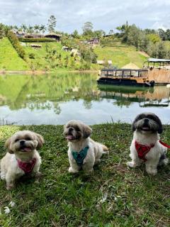 Casa Campestre Guatapé acceso directo a la represa - 7