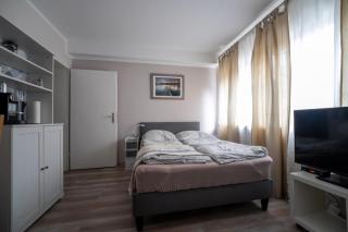 Kleines Souterrain Apartment direkt am Park - Wiesbaden - 9