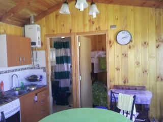 Cabaña full equipada para 4 personas en Coñaripe - 2