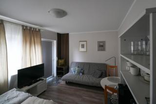 Kleines Souterrain Apartment direkt am Park - Wiesbaden - 7