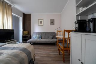 Kleines Souterrain Apartment direkt am Park - Wiesbaden - 5