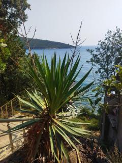 Beach House Kruče - 1