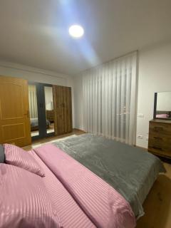 Apartment ne Peje - 9