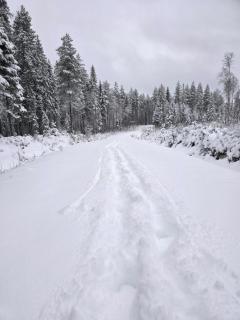 Sunne Stugcenter 12 - 3