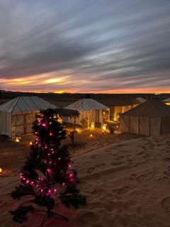 Fabulous Royal Camp - 9