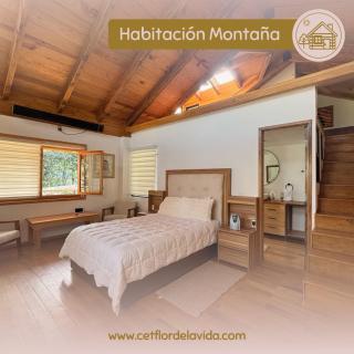 Cabaña Baño de Bosque - 7