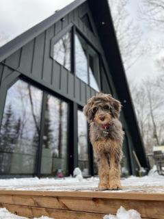 Sauna Hot Tub Lake Off-Grid AFrame Retreat - 9