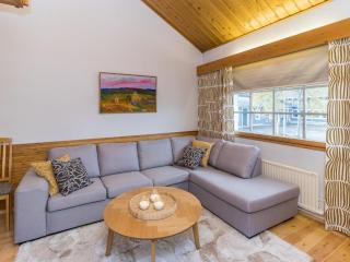 Holiday Home Teerenpesue f 46 by Interhome - 4