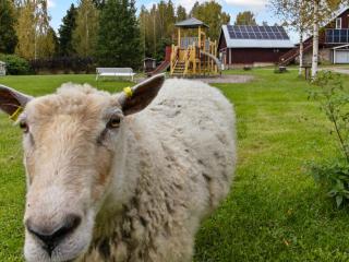 Holiday Home Vidnäs 5 by Interhome - 1