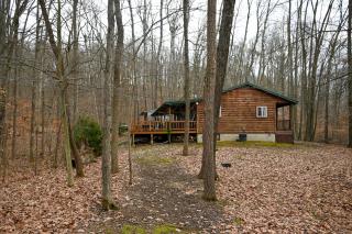 A Beary Cozy Cabin in Hocking Hills - 3