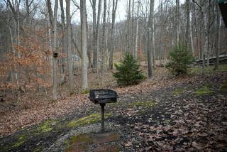 A Beary Cozy Cabin in Hocking Hills - 1