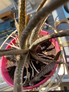 Cosy full apartment - 7