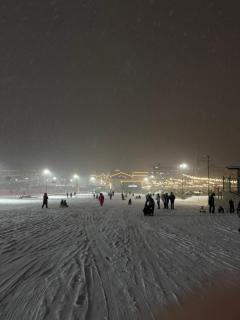 Bakuriani, Trialeti Residence - 8