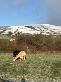 Alpaca cabin-mountain view-hot tub-rural retreat - 9