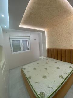 Lagja liri pran televizionit komb fier - 1