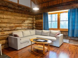 Holiday Home Vuokatinportti b3- lemminkäinen by Interhome - 4